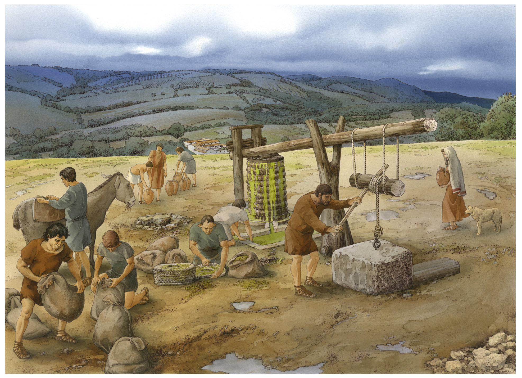 Roman farmers
