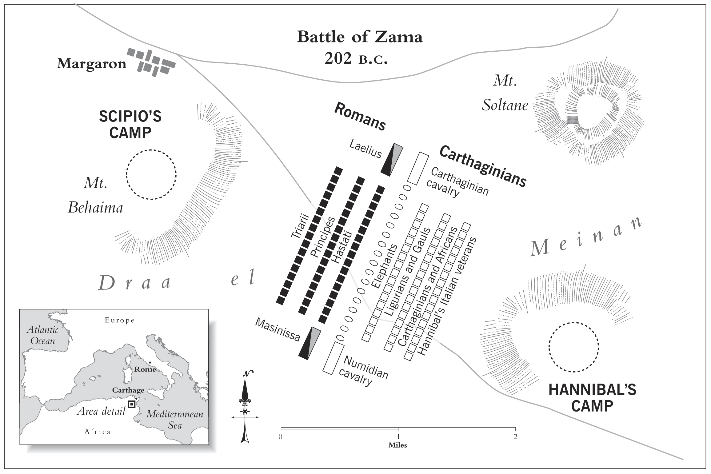 Strategic overview of the Battle of Zama showing troop formations, movements, and key positions of Roman and Carthaginian forces