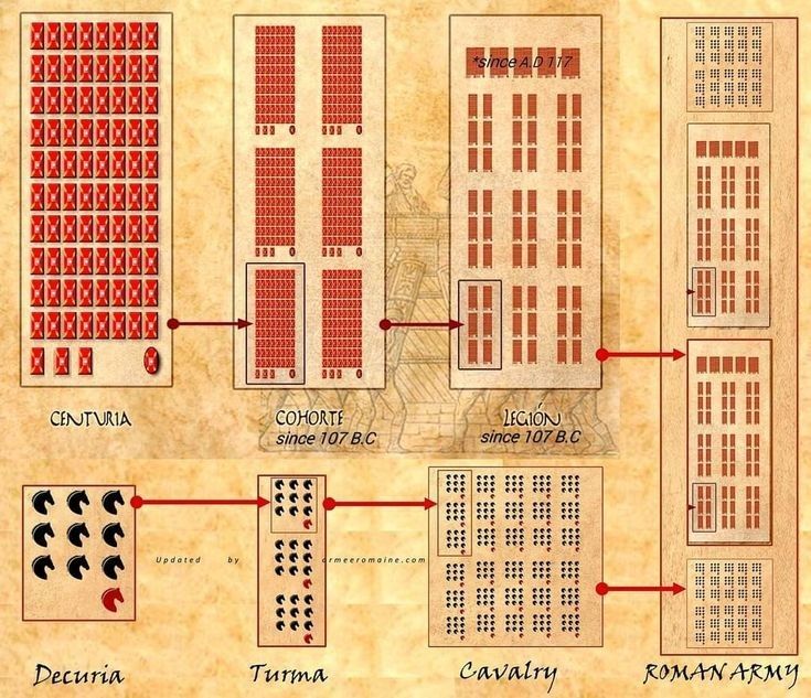 Organizational structure diagram of a Roman legion showing cohorts and centuries