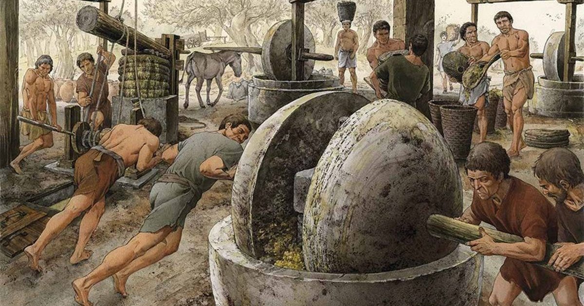Roman men pressing olives to produce traditional olive oil in ancient Rome