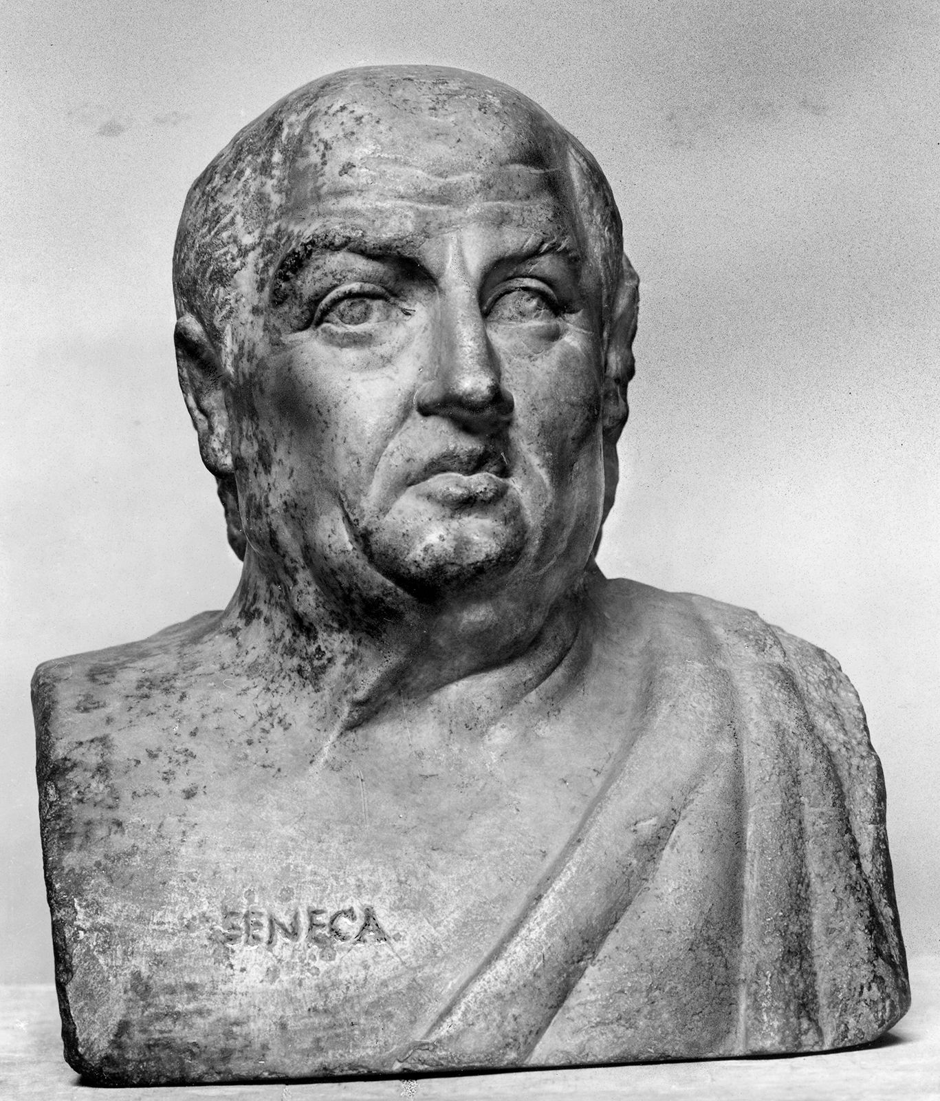Latin: How the Language of Ancient Rome Still Shapes the Modern World ...